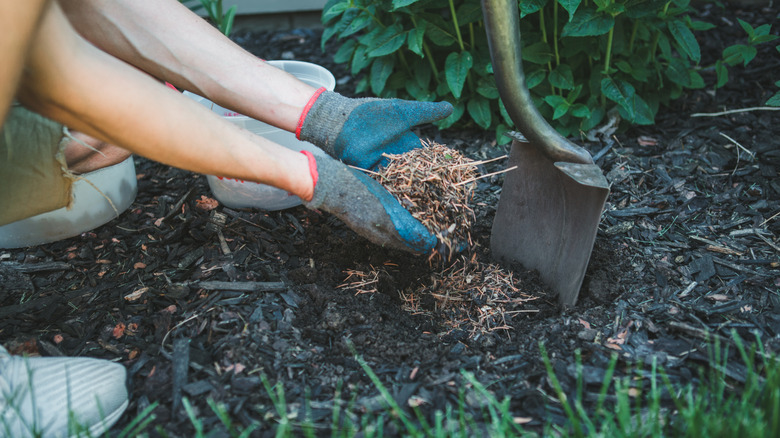 Person covering garden with mulch