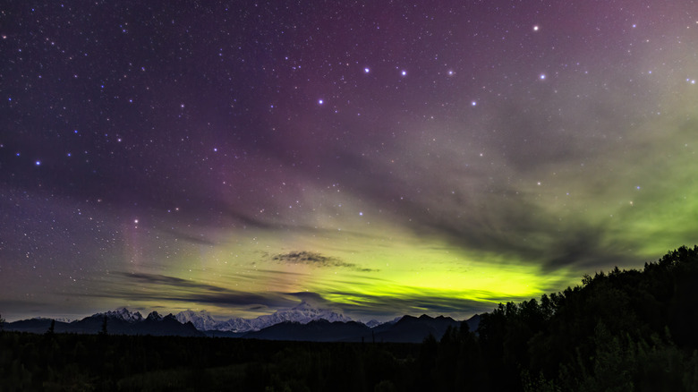 Northern lights over Denali National Park