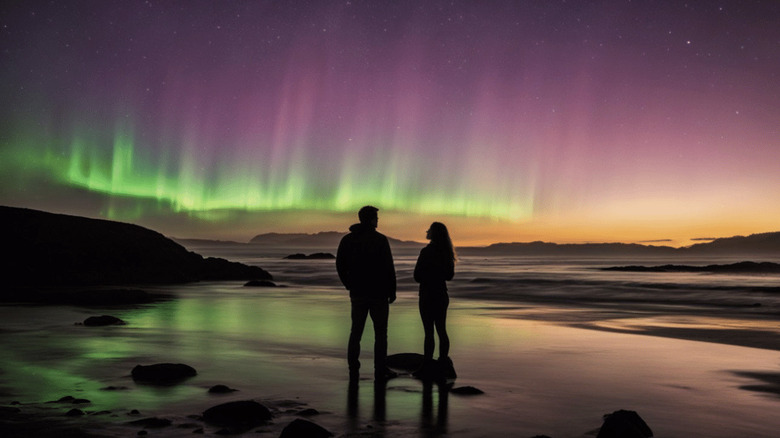 Lights over Olympic National Park