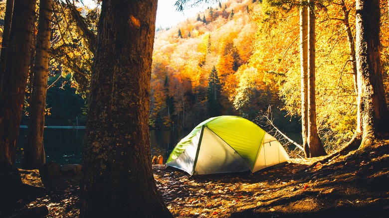 Tent pitched along lake in autumn
