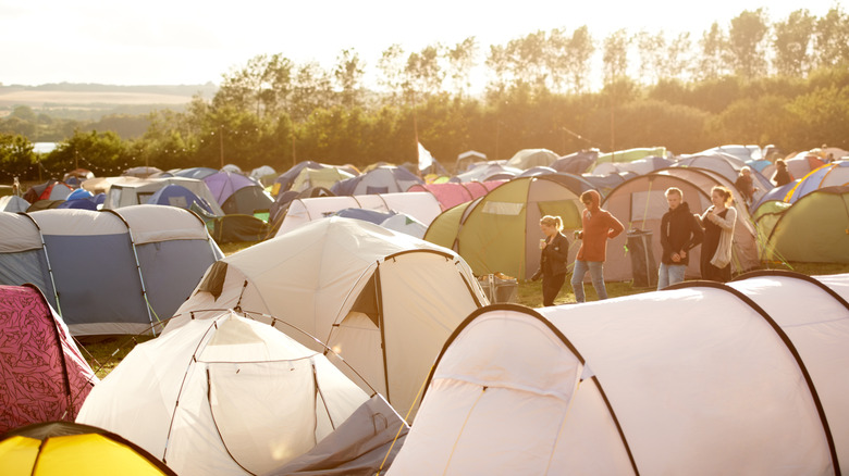 Heavily-popluated camp destination