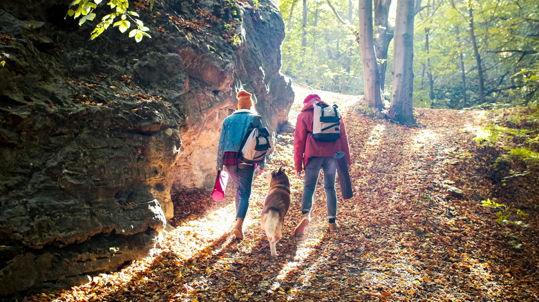 Couple hiking with dog in autumn