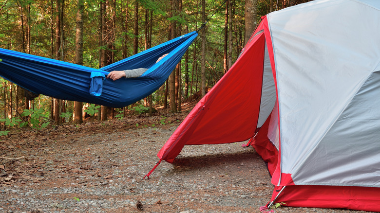 Camper relaxing in a hammock