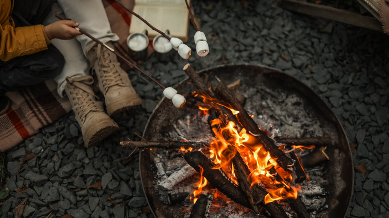 Roasting marshmallows over campfire