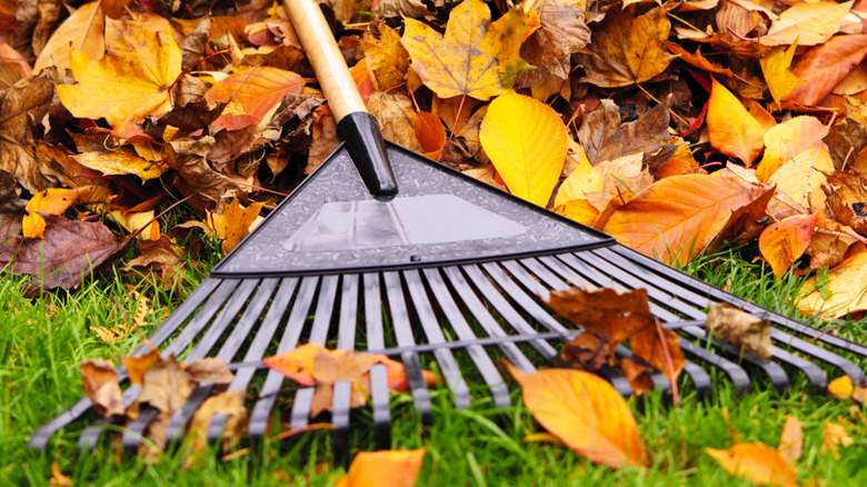 True Temper clog-free leaf rake