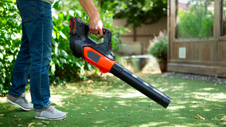 Cordless Leaf Blower