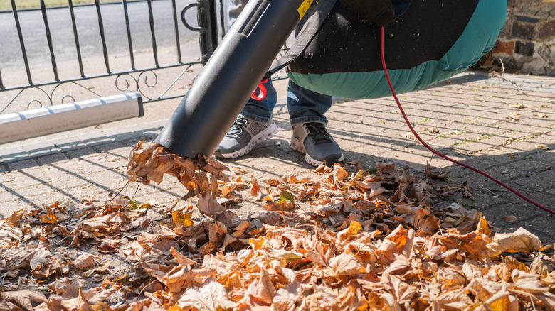Leaf vacuum