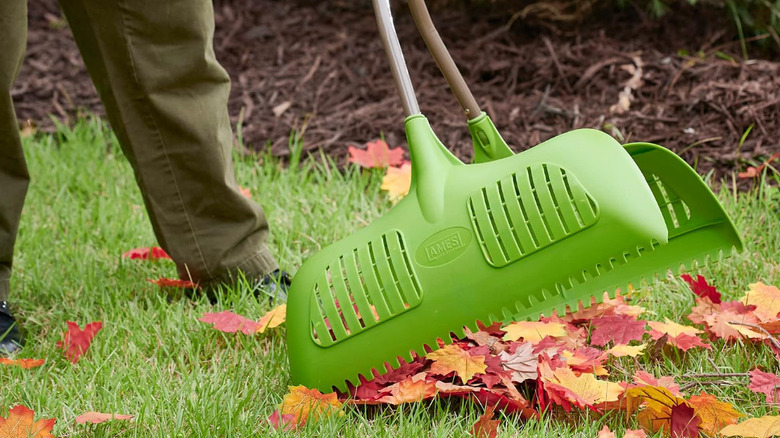 AMES Leaf Grabber