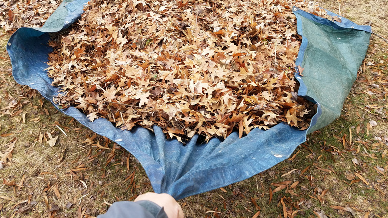 Leaf Tarp