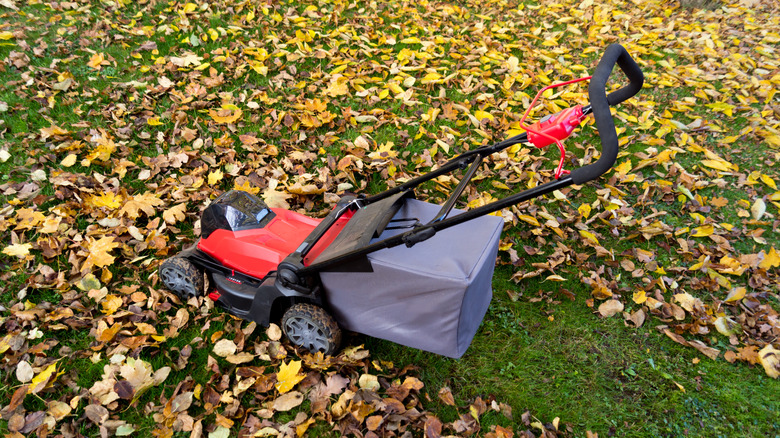 Mulching Mower