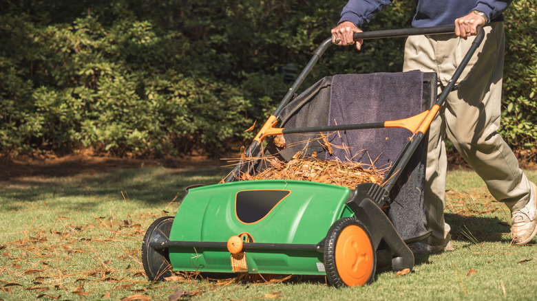 Lawn Sweeper