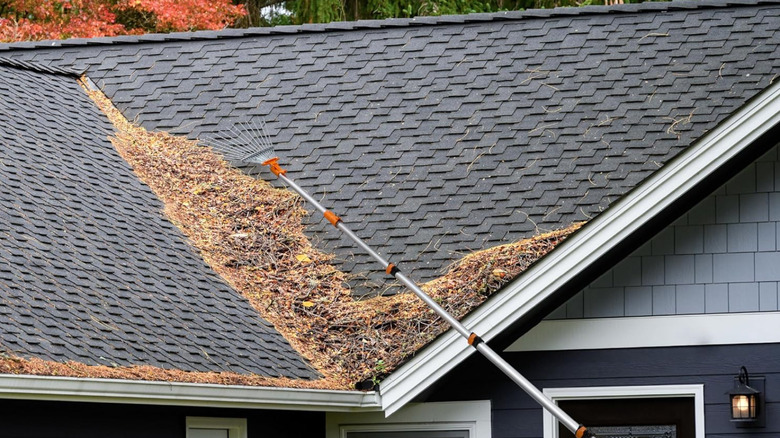 Extend-A-Reach telescoping roof rake