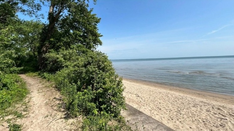 The shoreline and a natural surface hiking path at East Harbor State Park
