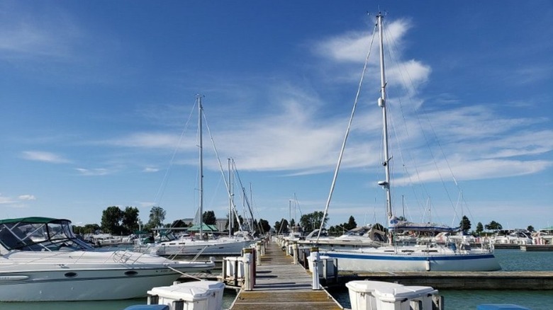 Water craft moored up in boat slips at North Point Marina
