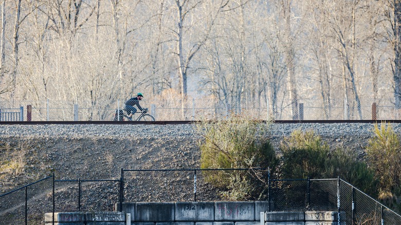 Cyclist on scenic trail in Oregon
