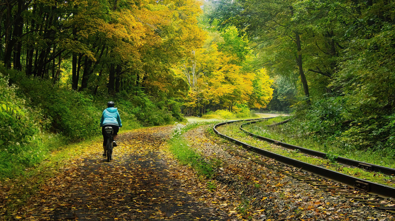 Great Allegheny Passage being cycled