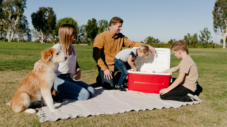Igloo 48 QT Laguna Hard Sided Ice Chest Cooler