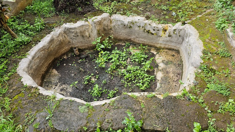 An empty pond in a garden