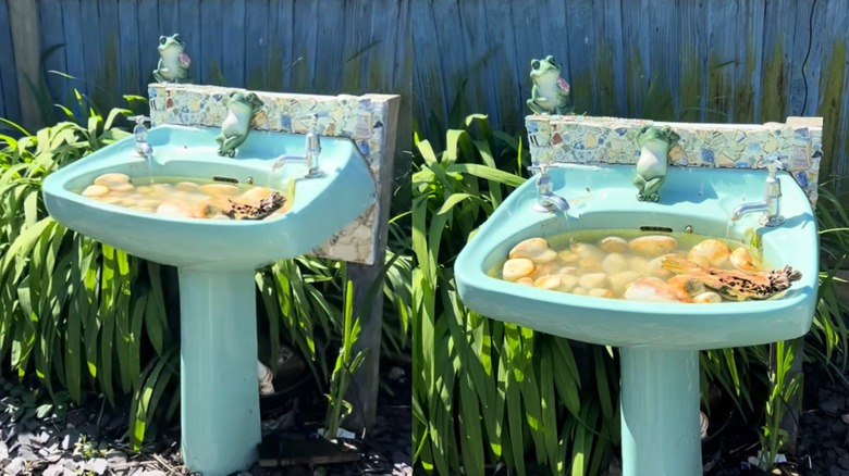 Unique bathroom sink turned into birdbath
