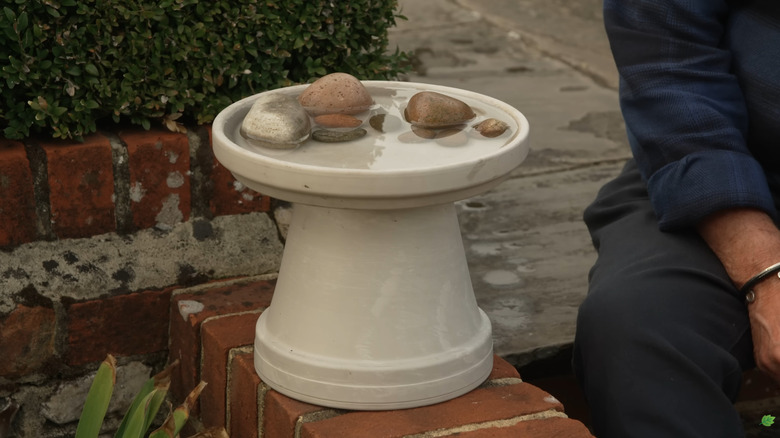 Terracotta planter birdbath
