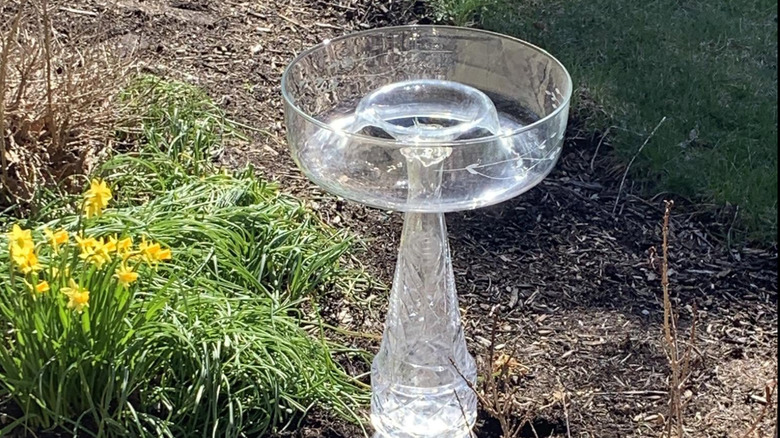 Glass flower vases with bowl on top for birdbath