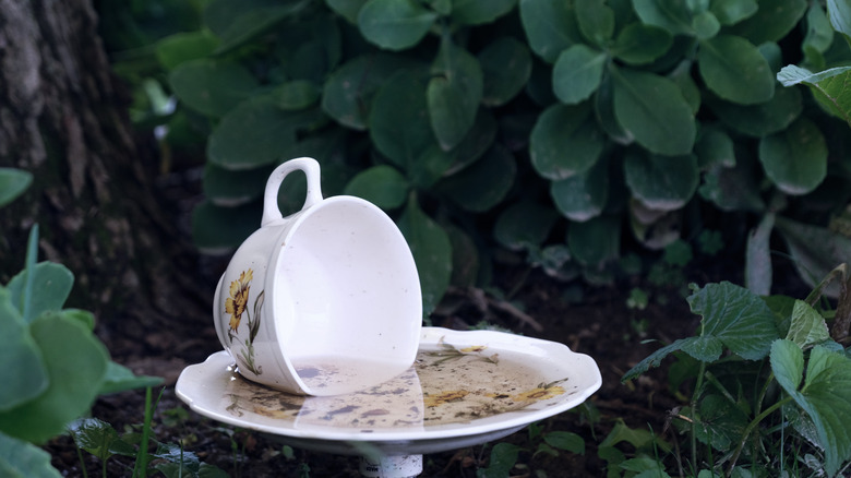 Teacup birdbath