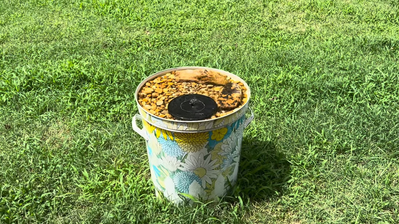 Trashcan converted into fountain birdbath
