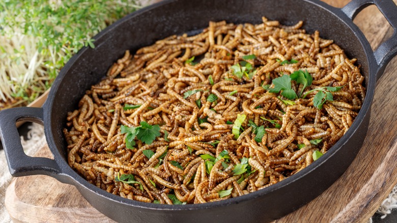 Fried meal worms in pan
