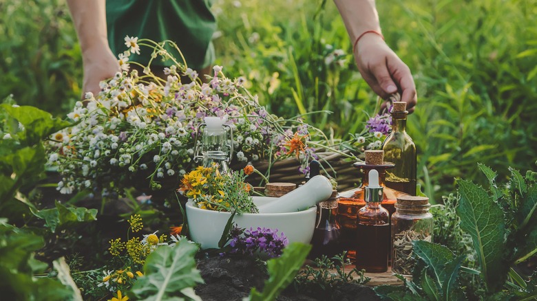 person arranging medicinal herbs 