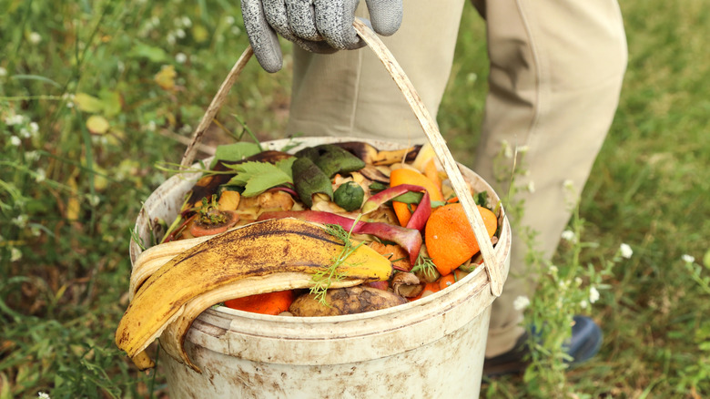 Person carrying bucket full of compostable materials