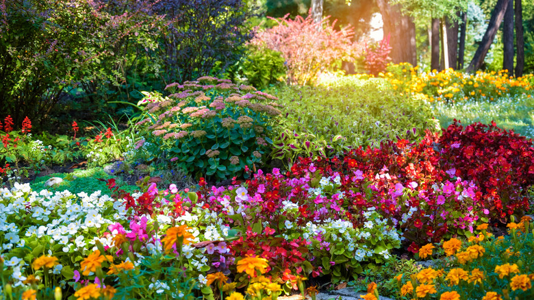 Colorful flower garden in yard