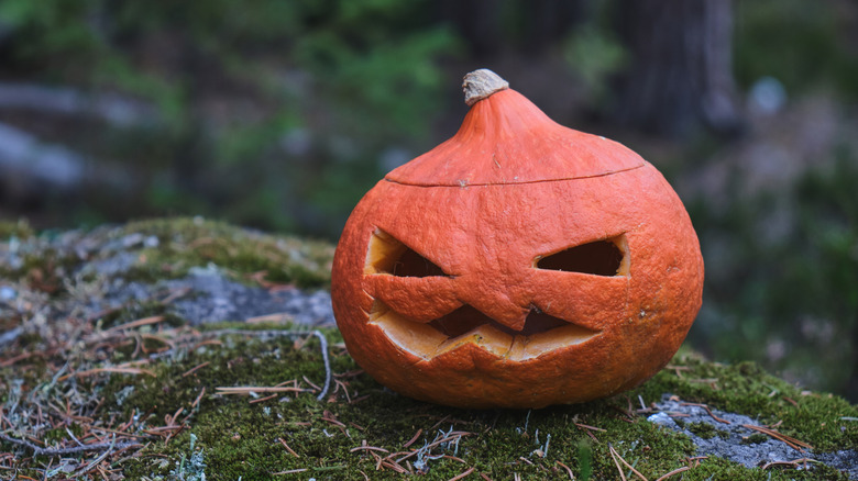 A leftover jack-o'-lantern sitting on a moss covered rock