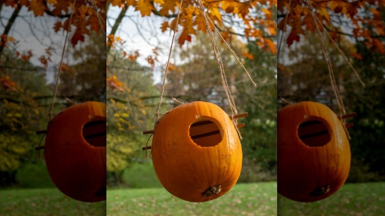 An easy DIY pumpkin planter hanging in a tree