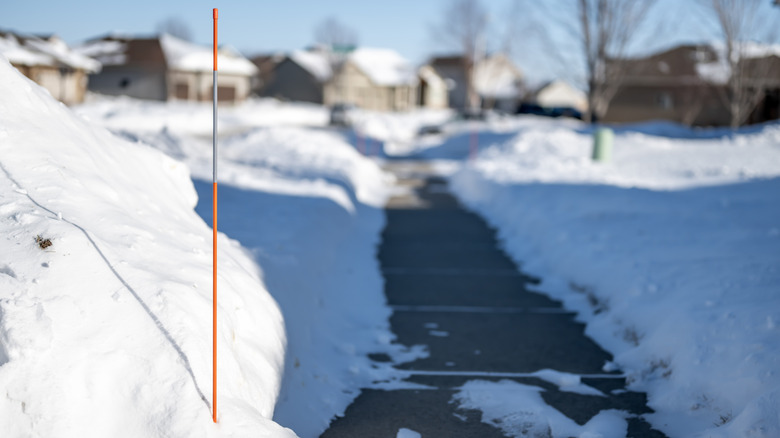 Sidewalk edge marker in the snow