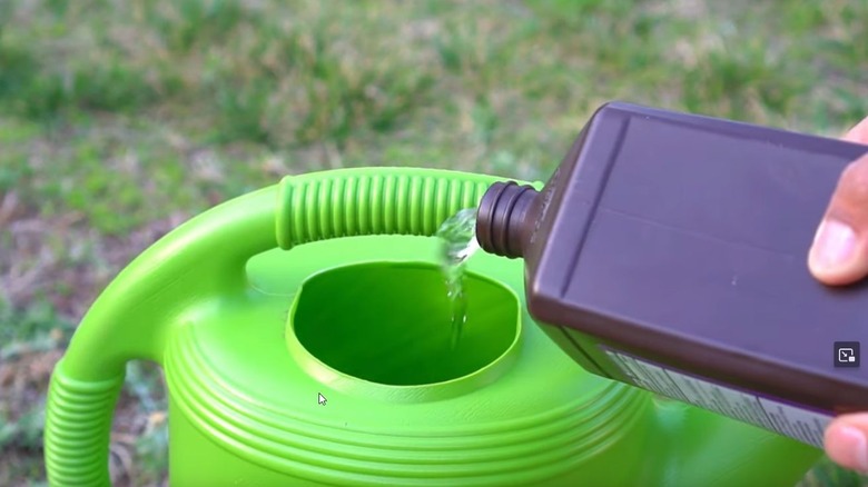 Pouring peroxide into a water jug