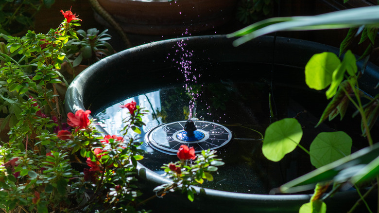 A solar fountain in a garden