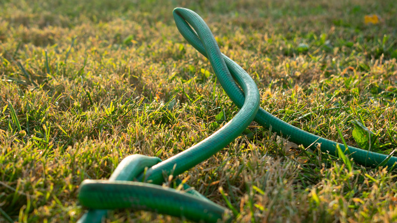 Old kinked garden hose on grass