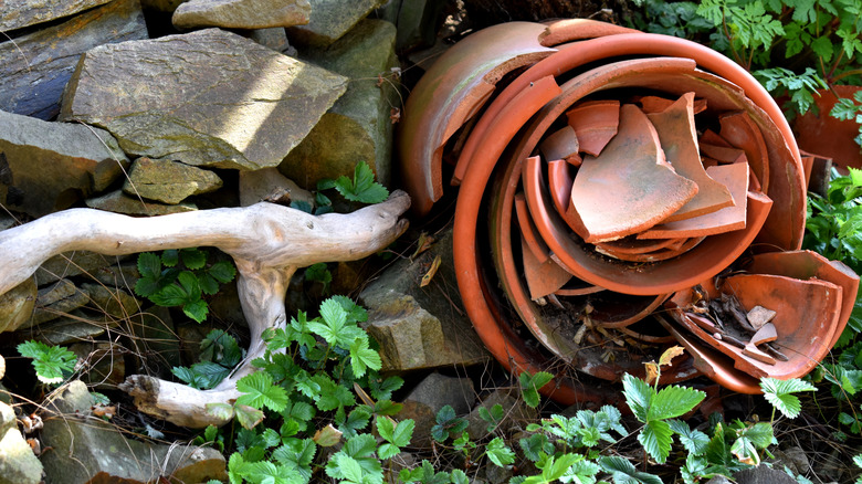 Broken terracotta pot pieces stored in a pot for repurposing