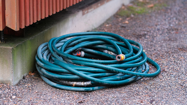 Garden hose on the ground
