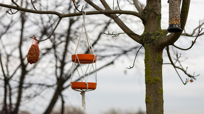 Macrame bird feeder hanging in tree