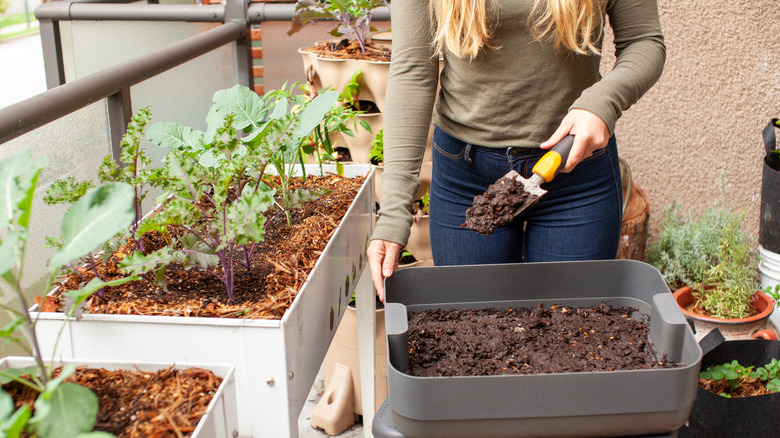 woman gardening on small patio
