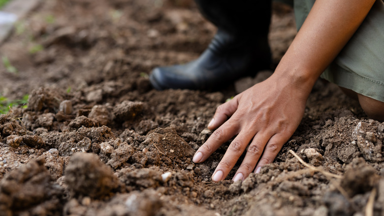 Someone bending down testing garden soil with their hands