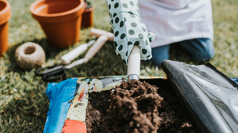A gloved hand scooping soil out of a bag and into a planter in the background
