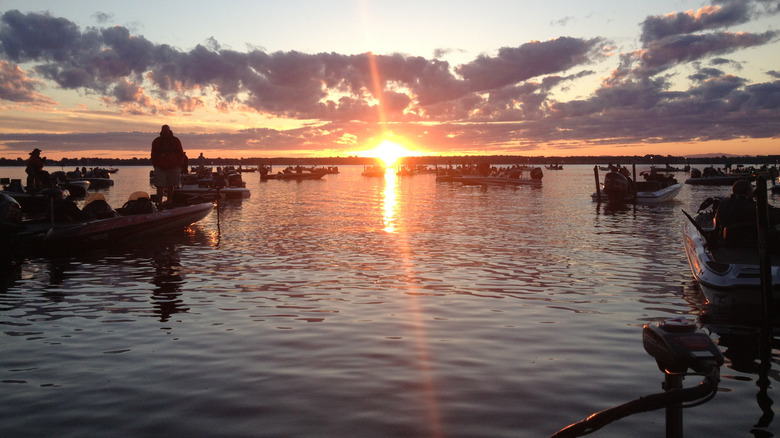 Bass boats ready to start tournament at sunrise