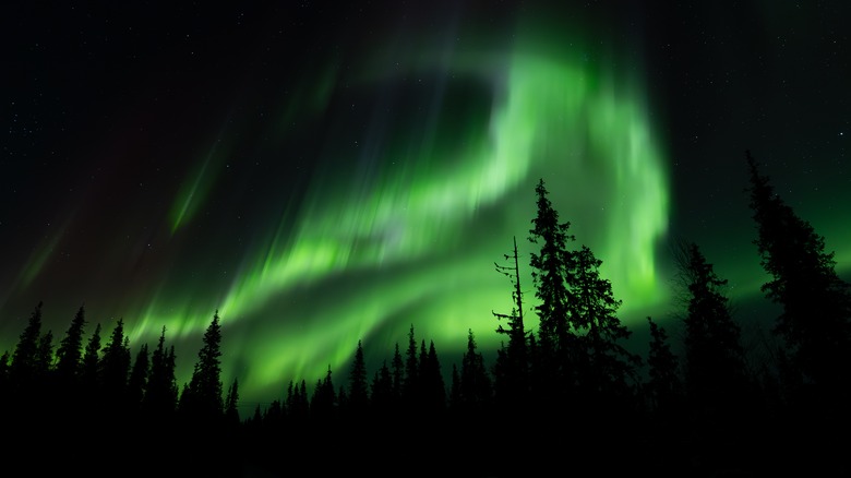 The Northern Lights in Alaska