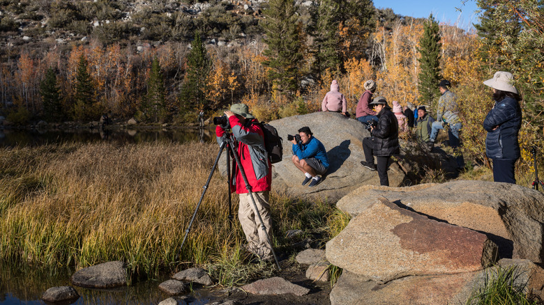 photographers during fall in bishop