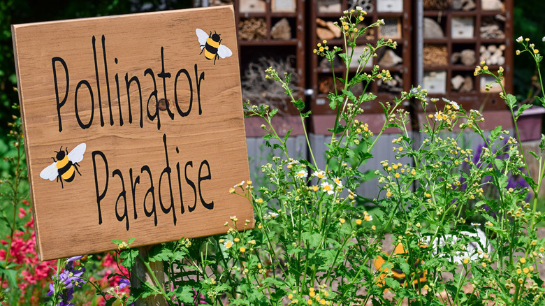 pollinator paradise sign with bee hotels int he background and a variety of flowers around