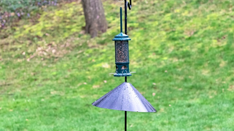bird feeder with baffle attached