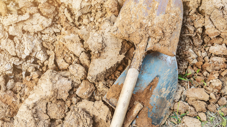 hand trowels in clay