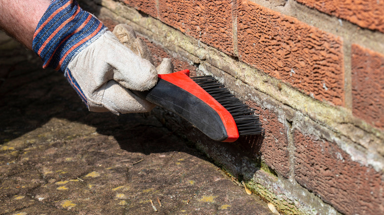 Scrubbing bricks with a nylon brush